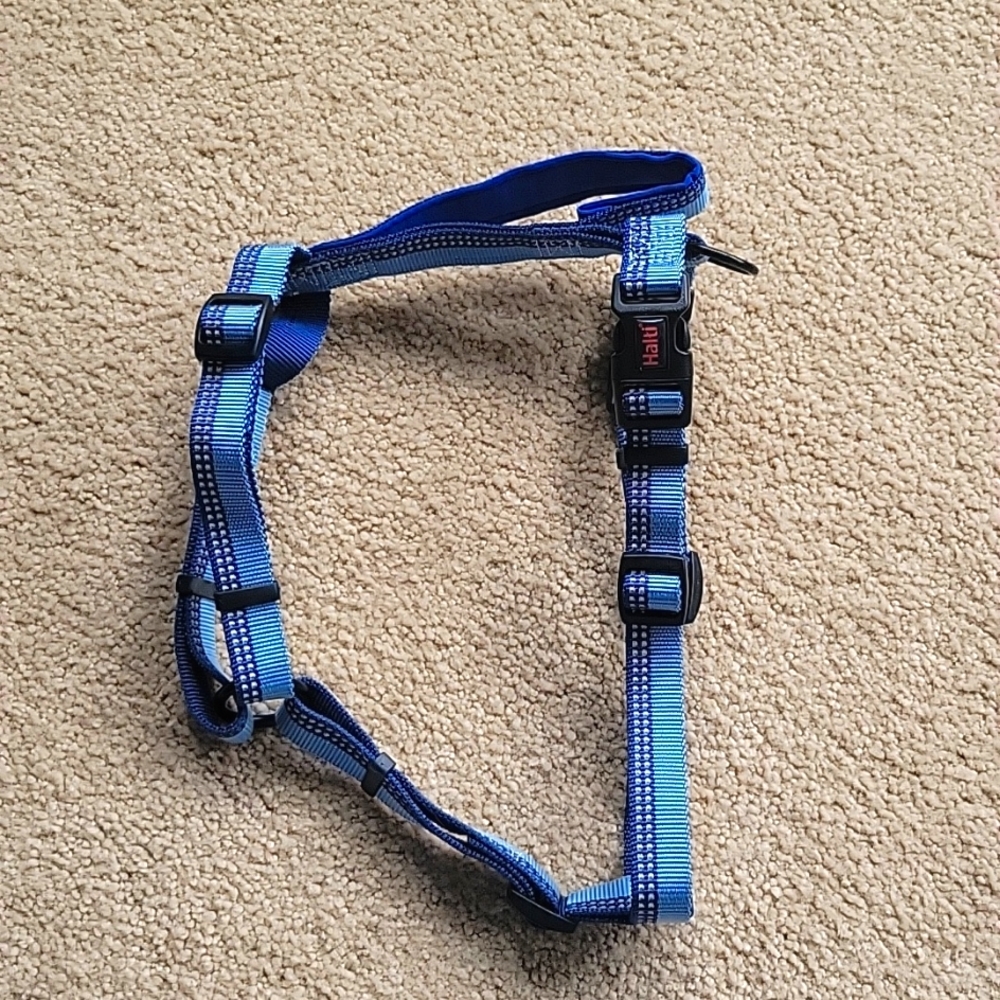 Halti walking dog harness reflective blue Med safety used only to try on. new